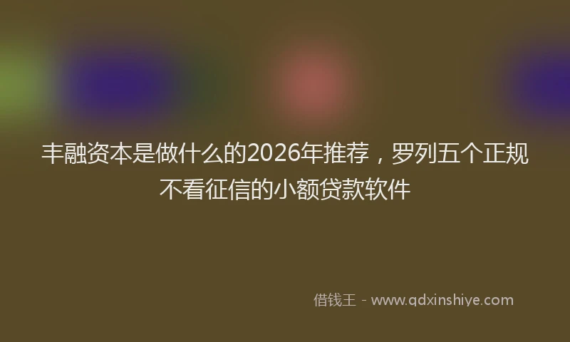 丰融资本是做什么的2026年推荐，罗列五个正规不看征信的小额贷款软件
