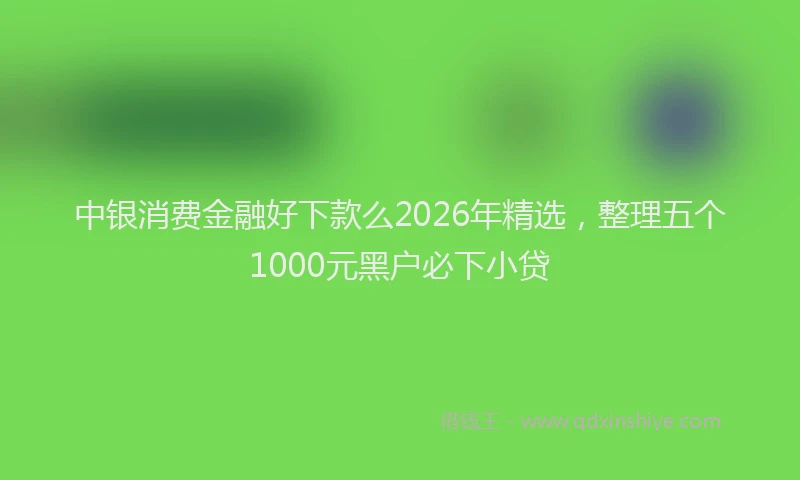 中银消费金融好下款么2026年精选，整理五个1000元黑户必下小贷