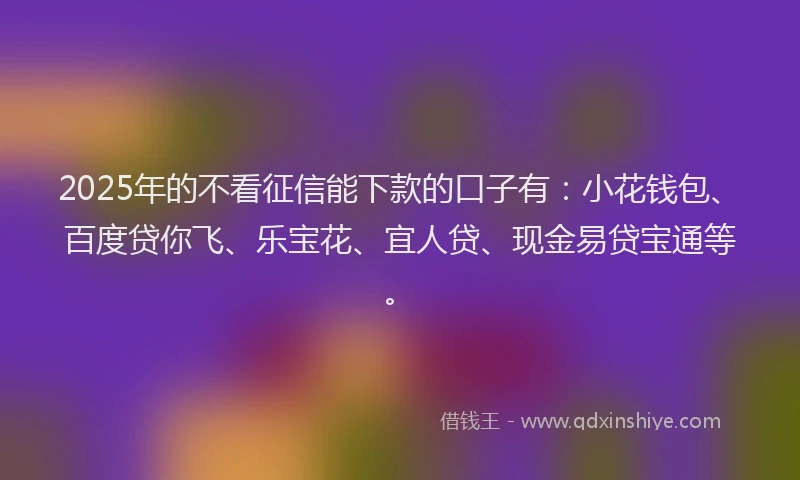 2025年的不看征信能下款的口子有：小花钱包、百度贷你飞、乐宝花、宜人贷、现金易贷宝通等。