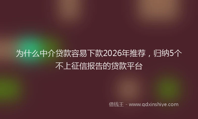 为什么中介贷款容易下款2026年推荐，归纳5个不上征信报告的贷款平台