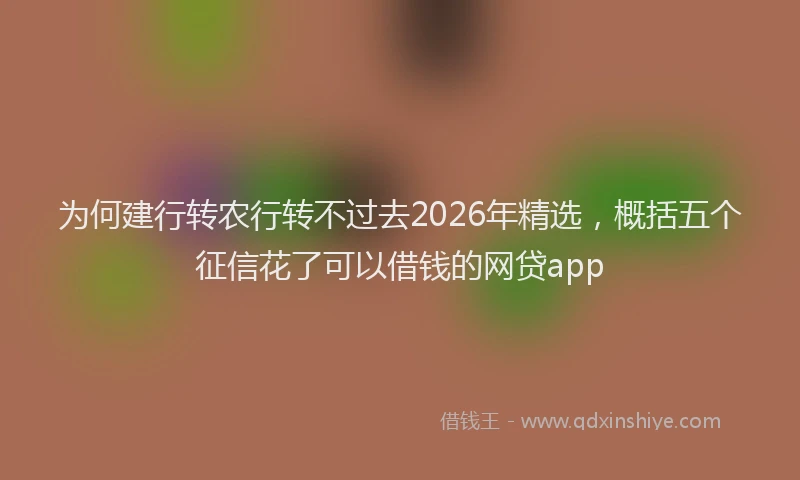 为何建行转农行转不过去2026年精选，概括五个征信花了可以借钱的网贷app