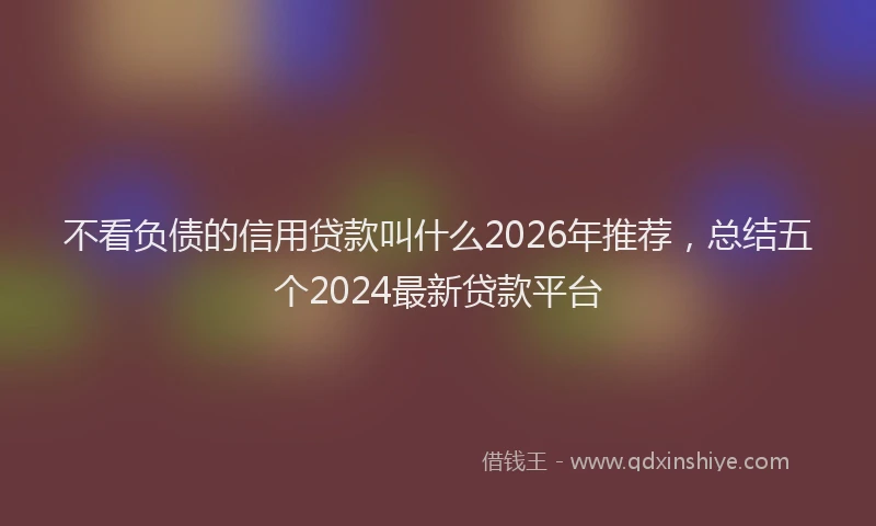 不看负债的信用贷款叫什么2026年推荐，总结五个2024最新贷款平台