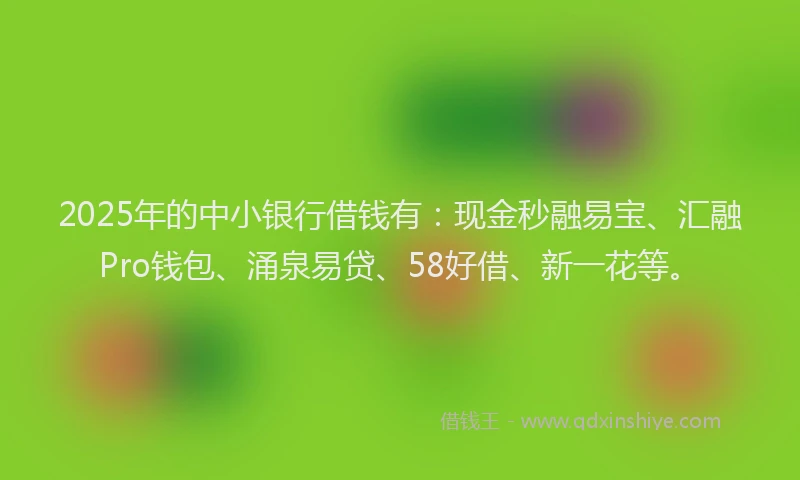 2025年的中小银行借钱有:现金秒融易宝、汇融Pro钱包、涌泉易贷、58好借、新一花等。