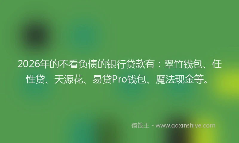 2026年的不看负债的银行贷款有：翠竹钱包、任性贷、天源花、易贷Pro钱包、魔法现金等。