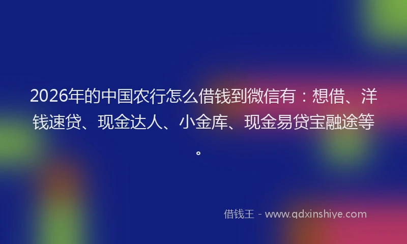 2026年的中国农行怎么借钱到微信有：想借、洋钱速贷、现金达人、小金库、现金易贷宝融途等。