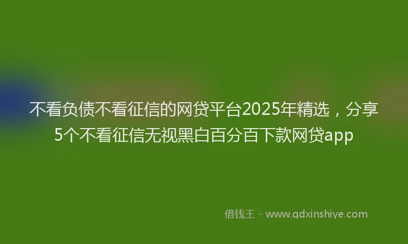 不看负债不看征信的网贷平台2025年精选，分享5个不看征信无视黑白百分百下款网贷app