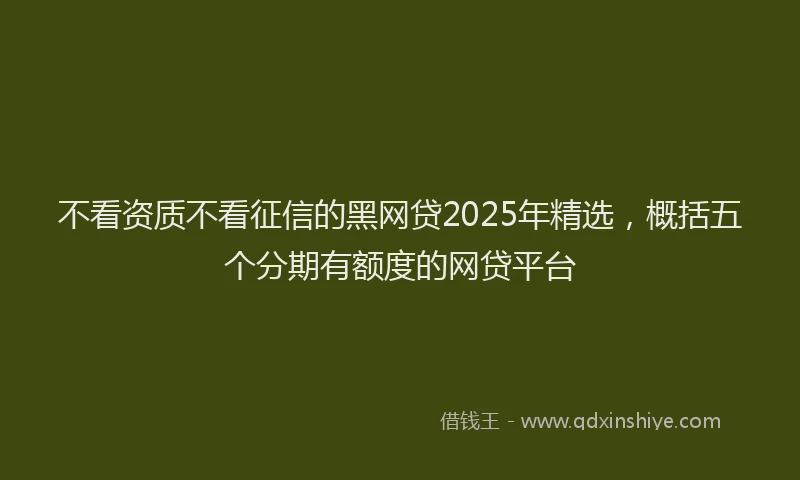 不看资质不看征信的黑网贷2025年精选，概括五个分期有额度的网贷平台