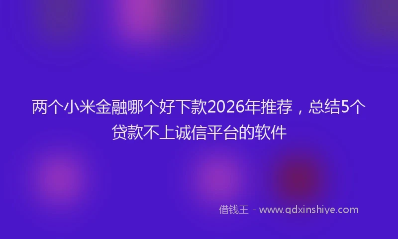两个小米金融哪个好下款2026年推荐，总结5个贷款不上诚信平台的软件