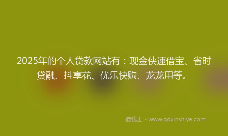2025年的个人贷款网站有：现金侠速借宝、省时贷融、抖享花、优乐快购、龙龙用等。