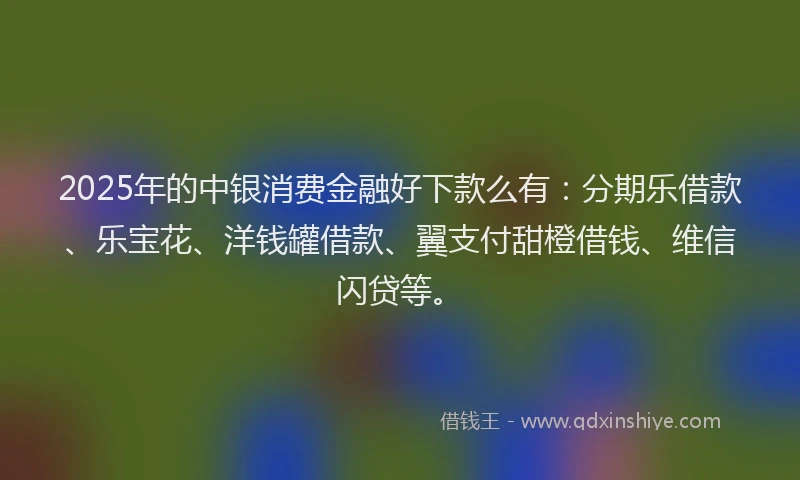2025年的中银消费金融好下款么有：分期乐借款、乐宝花、洋钱罐借款、翼支付甜橙借钱、维信闪贷等。