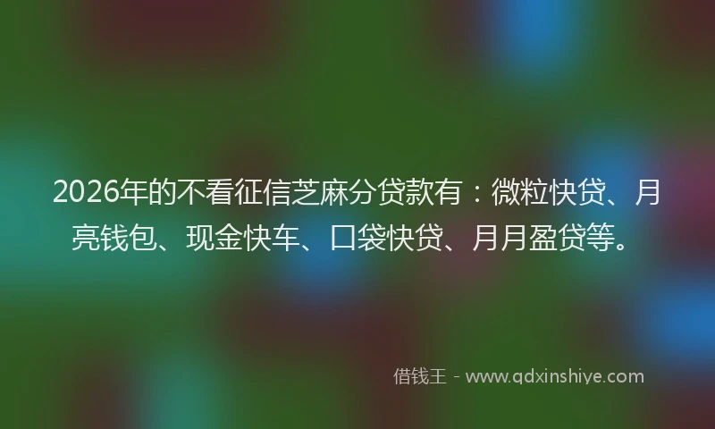 2026年的不看征信芝麻分贷款有：微粒快贷、月亮钱包、现金快车、口袋快贷、月月盈贷等。