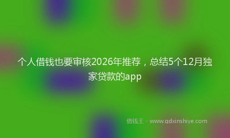 个人借钱也要审核2026年推荐，总结5个12月独家贷款的app