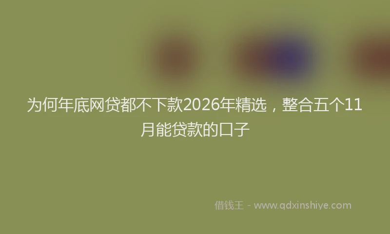 为何年底网贷都不下款2026年精选，整合五个11月能贷款的口子