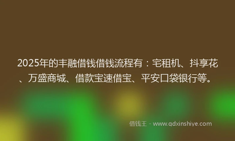 2025年的丰融借钱借钱流程有：宅租机、抖享花、万盛商城、借款宝速借宝、平安口袋银行等。