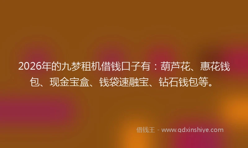 2026年的九梦租机借钱口子有：葫芦花、惠花钱包、现金宝盒、钱袋速融宝、钻石钱包等。