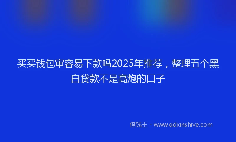 买买钱包审容易下款吗2025年推荐，整理五个黑白贷款不是高炮的口子