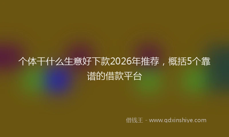个体干什么生意好下款2026年推荐，概括5个靠谱的借款平台