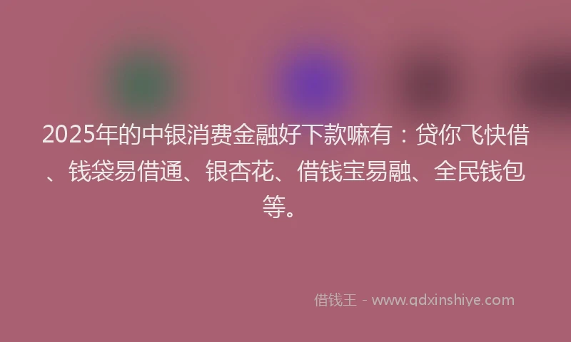 2025年的中银消费金融好下款嘛有：贷你飞快借、钱袋易借通、银杏花、借钱宝易融、全民钱包等。