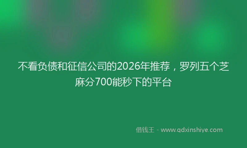 不看负债和征信公司的2026年推荐，罗列五个芝麻分700能秒下的平台