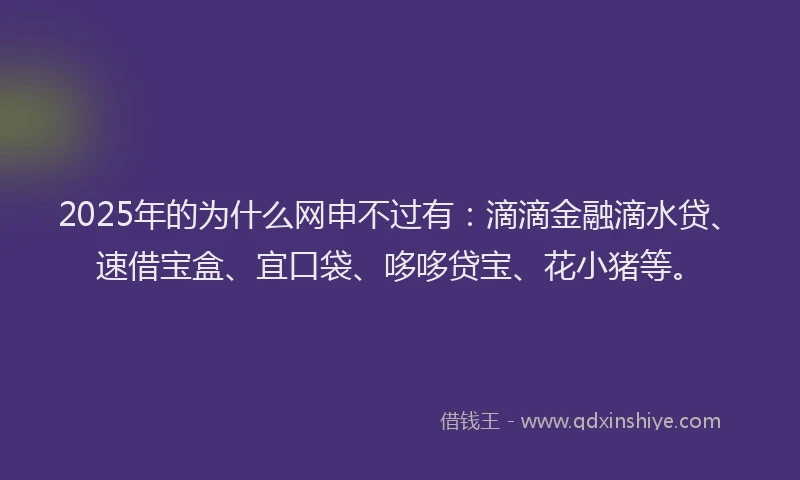 2025年的为什么网申不过有：滴滴金融滴水贷、速借宝盒、宜口袋、哆哆贷宝、花小猪等。