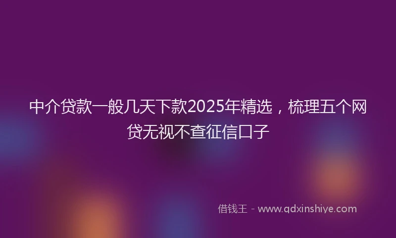 中介贷款一般几天下款2025年精选，梳理五个网贷无视不查征信口子