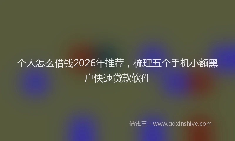 个人怎么借钱2026年推荐，梳理五个手机小额黑户快速贷款软件