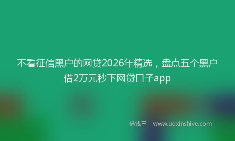 不看征信黑户的网贷2026年精选,盘点五个黑户借2万元秒下网贷口子app
