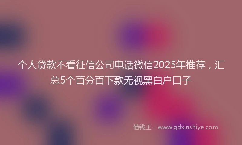 个人贷款不看征信公司电话微信2025年推荐，汇总5个百分百下款无视黑白户口子