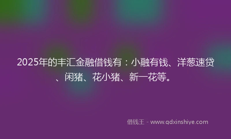2025年的丰汇金融借钱有：小融有钱、洋葱速贷、闲猪、花小猪、新一花等。