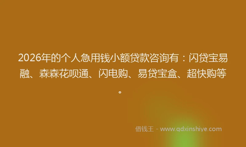 2026年的个人急用钱小额贷款咨询有:闪贷宝易融、森森花呗通、闪电购、易贷宝盒、超快购等。