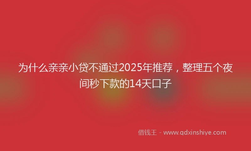 为什么亲亲小贷不通过2025年推荐，整理五个夜间秒下款的14天口子