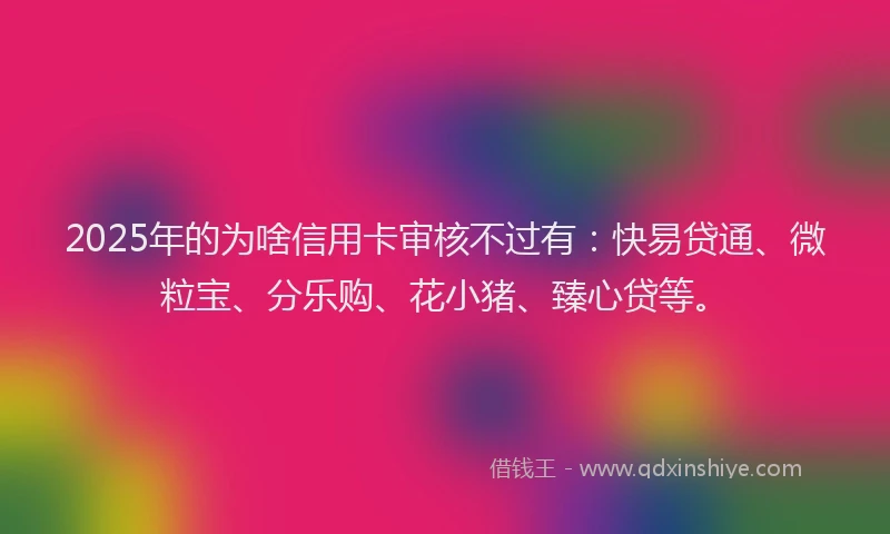 2025年的为啥信用卡审核不过有：快易贷通、微粒宝、分乐购、花小猪、臻心贷等。
