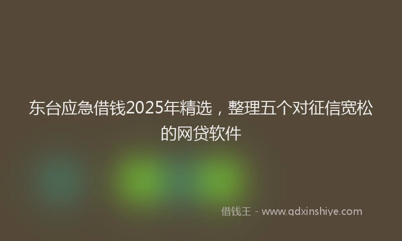 东台应急借钱2025年精选,整理五个对征信宽松的网贷软件