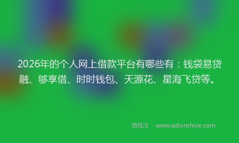 2026年的个人网上借款平台有哪些有:钱袋易贷融、够享借、时时钱包、天源花、星海飞贷等。
