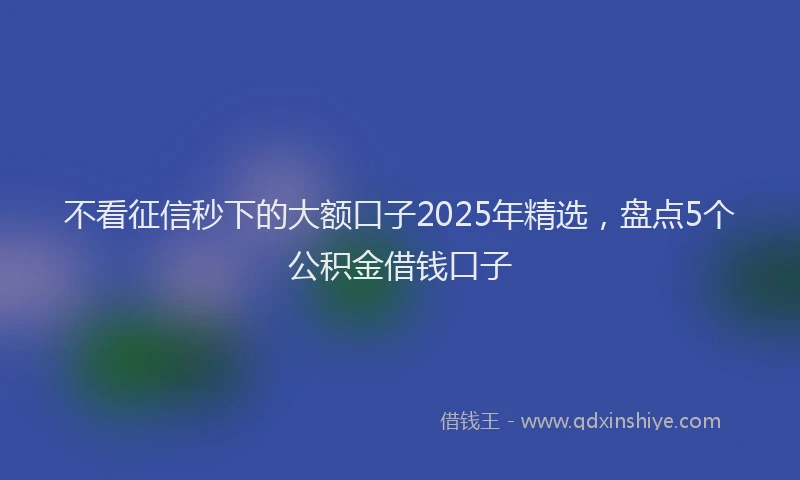 不看征信秒下的大额口子2025年精选，盘点5个公积金借钱口子