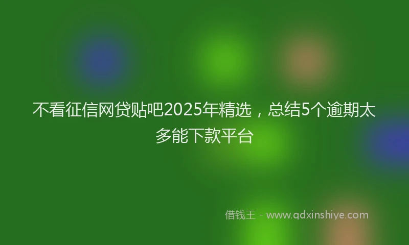 不看征信网贷贴吧2025年精选，总结5个逾期太多能下款平台