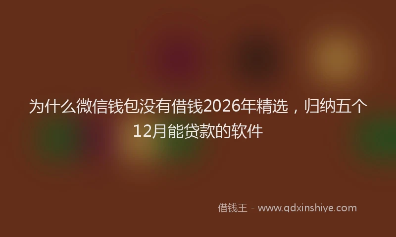 为什么微信钱包没有借钱2026年精选，归纳五个12月能贷款的软件