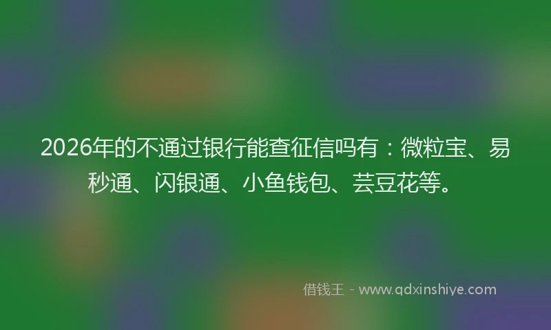 2026年的不通过银行能查征信吗有:微粒宝、易秒通、闪银通、小鱼钱包、芸豆花等。