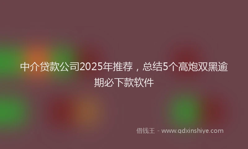 中介贷款公司2025年推荐，总结5个高炮双黑逾期必下款软件