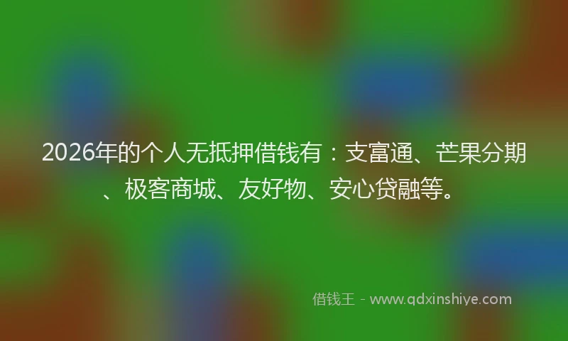2026年的个人无抵押借钱有：支富通、芒果分期、极客商城、友好物、安心贷融等。