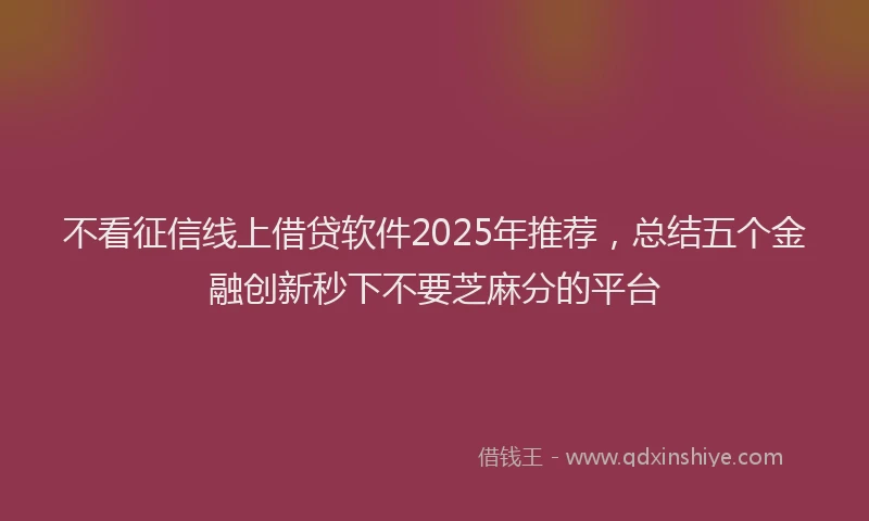 不看征信线上借贷软件2025年推荐，总结五个金融创新秒下不要芝麻分的平台