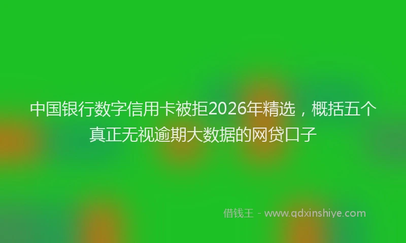 中国银行数字信用卡被拒2026年精选，概括五个真正无视逾期大数据的网贷口子
