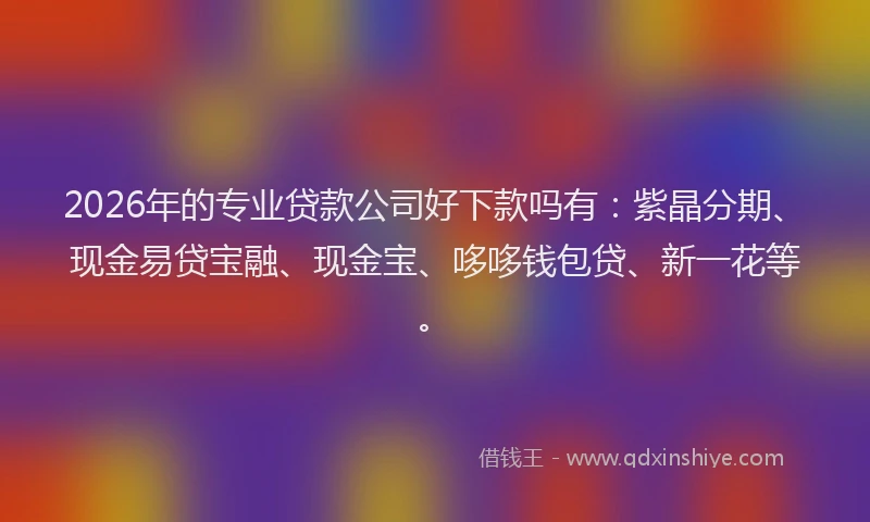 2026年的专业贷款公司好下款吗有：紫晶分期、现金易贷宝融、现金宝、哆哆钱包贷、新一花等。