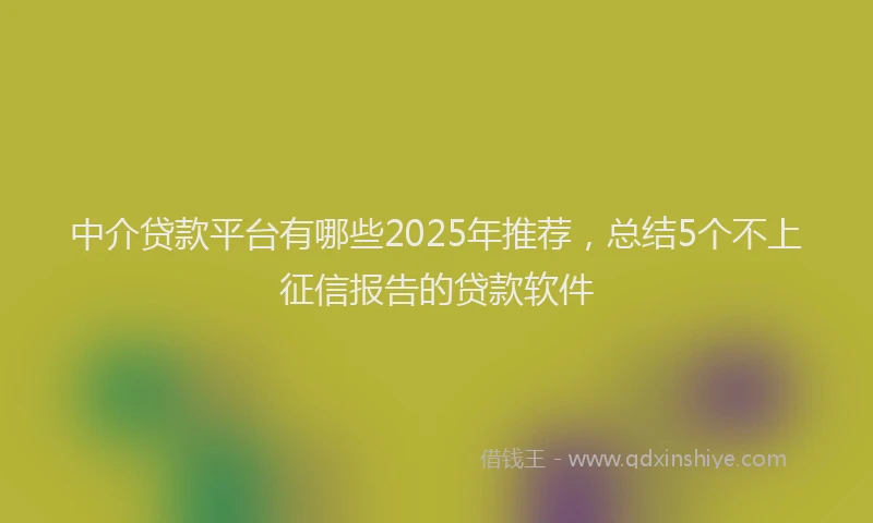 中介贷款平台有哪些2025年推荐，总结5个不上征信报告的贷款软件