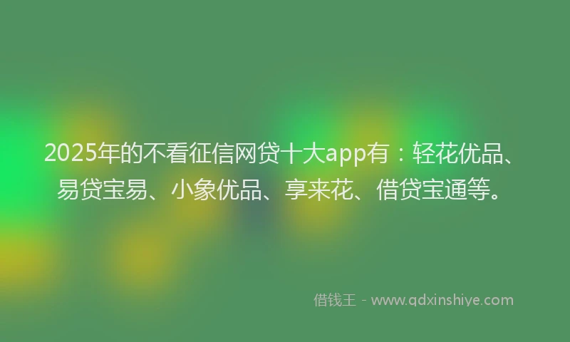 2025年的不看征信网贷十大app有：轻花优品、易贷宝易、小象优品、享来花、借贷宝通等。