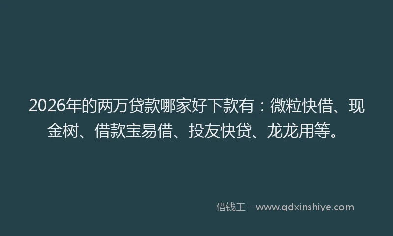 2026年的两万贷款哪家好下款有:微粒快借、现金树、借款宝易借、投友快贷、龙龙用等。