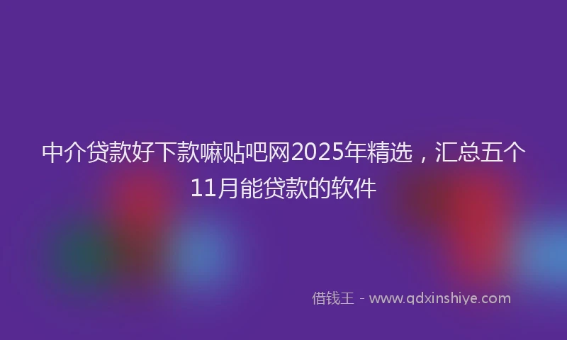 中介贷款好下款嘛贴吧网2025年精选，汇总五个11月能贷款的软件