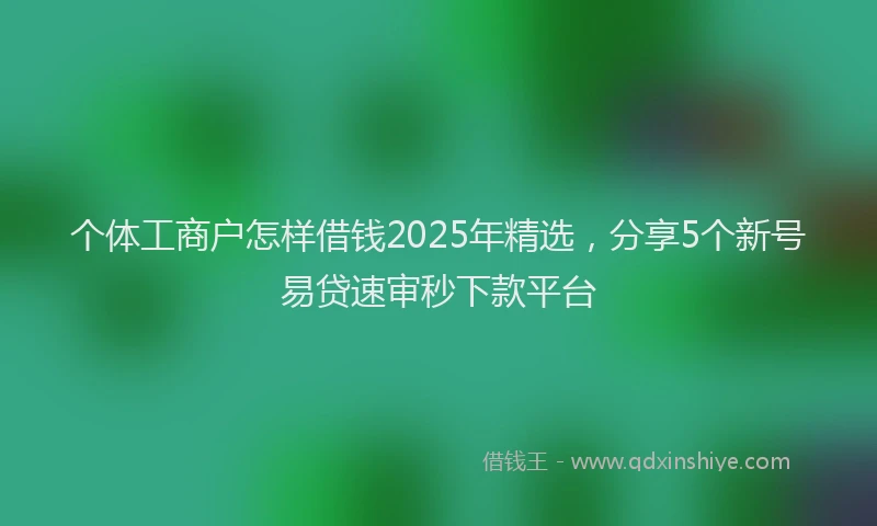 个体工商户怎样借钱2025年精选，分享5个新号易贷速审秒下款平台