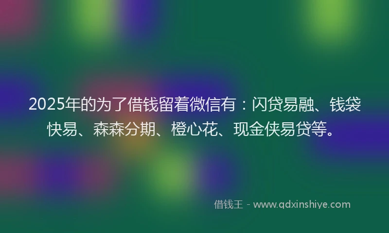 2025年的为了借钱留着微信有:闪贷易融、钱袋快易、森森分期、橙心花、现金侠易贷等。