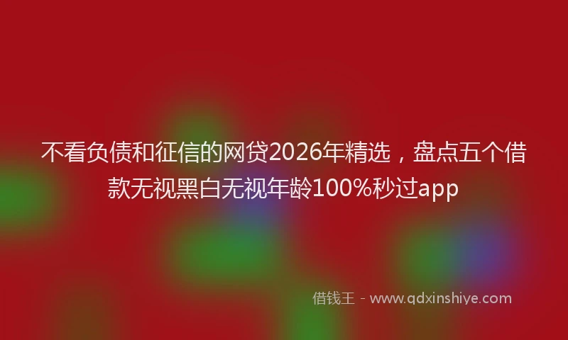 不看负债和征信的网贷2026年精选,盘点五个借款无视黑白无视年龄100%秒过app